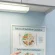 Nutrition_background